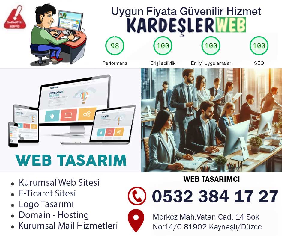 Düzce Web Sitesi Tasarımı